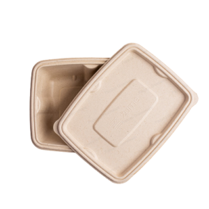 Benefits of Using Bagasse Packaging