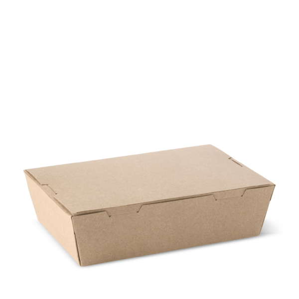 disposable box for food | lunch box | Crafeo Packaging Solutions